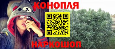 гидра Дубна